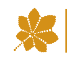 LOGO VIII LO